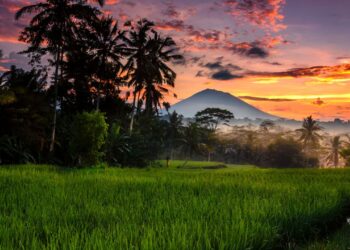 Ubud Bali: Destinasi Wisata dengan Keindahan Alam dan Seni yang Mengagumkan