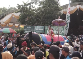Pertunjukan Kesenian Gajah-Gajahan Membangun Kebersamaan di Desa Prajegan