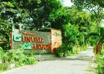 Gunung Mangge, Wisata Alam yang Memikat di Ponorogo: Hamparan Persawahan dengan Keindahan Gunung Kecil