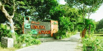 Gunung Mangge, Wisata Alam yang Memikat di Ponorogo: Hamparan Persawahan dengan Keindahan Gunung Kecil
