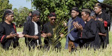 Festival Methik Padi di Desa Glinggang: Merajut Kembali Akar Budaya